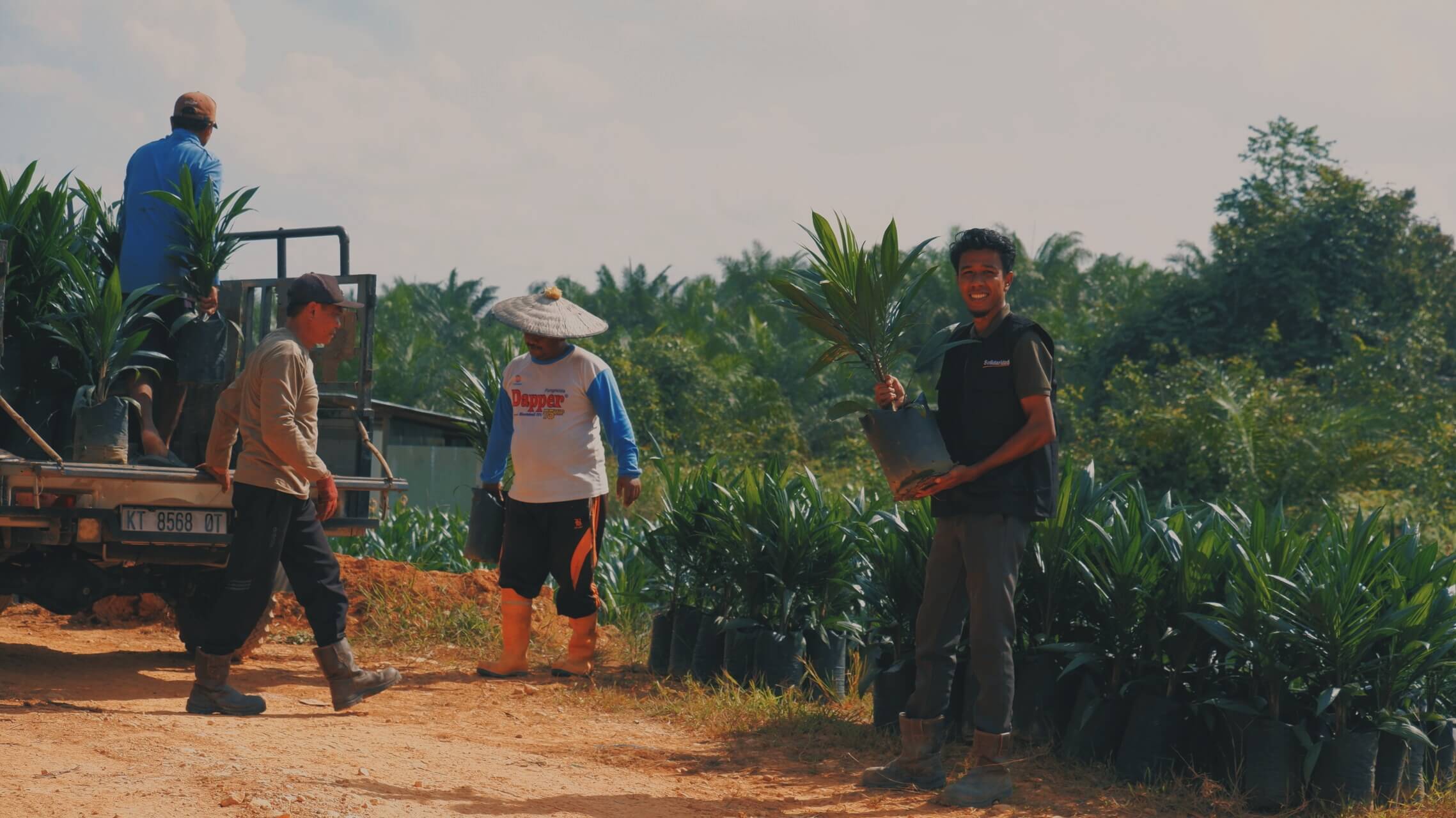 Farmers and volunteers carry young seedlings through a cultivated field.
